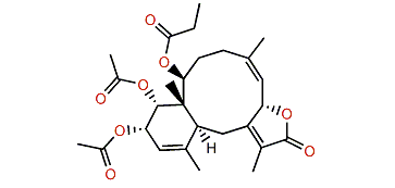 Anthoptilide E